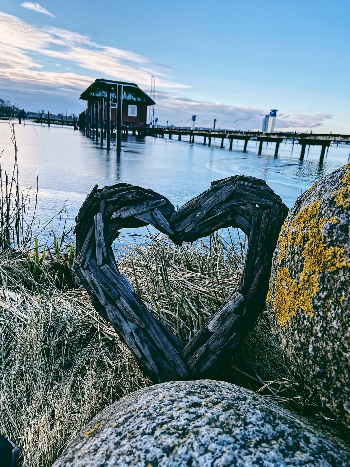 Artikelbild_web